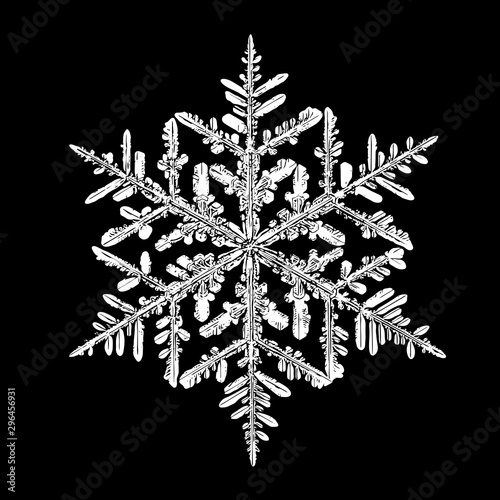 White snowflake isolated on black background. Illustration based on macro photo of real snow crystal  large stellar dendrite with fine hexagonal symmetry  complex ornate shape and six elegant arms.