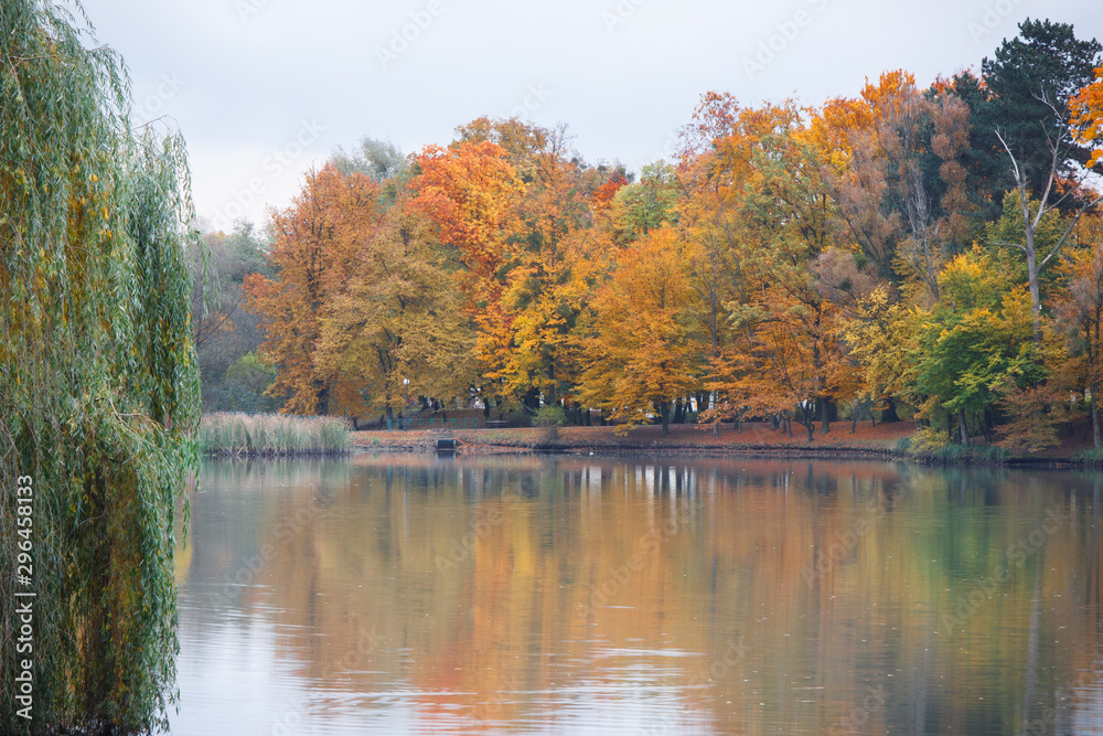 Obraz premium Colorful leaves on trees in autumnal park