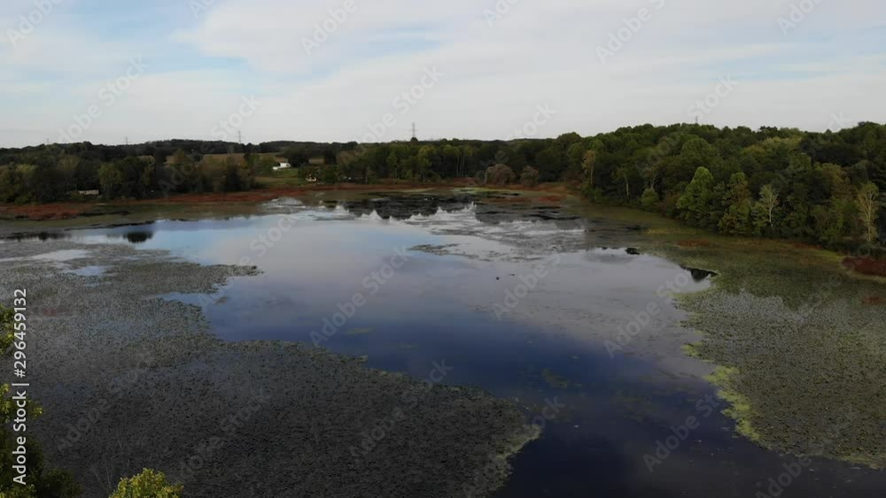 A drone shot flying over a big swamp in Michigan. A drone shot flying over a big swamp in Michigan.