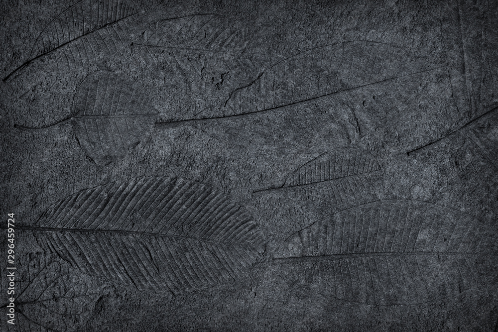 leaf print or stamp of leaf  on black stone - obrazy, fototapety, plakaty 