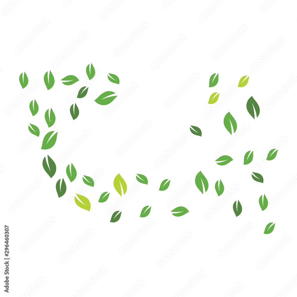 Green leaves background Green leaves background
