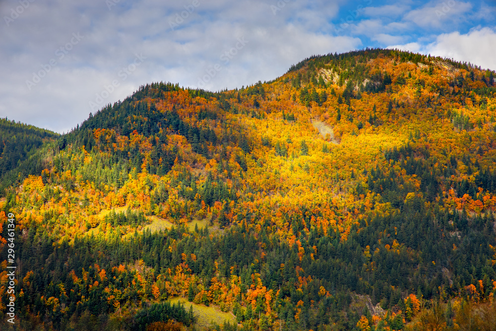 Obraz premium Sunlight lights up mountain covered in fall colors