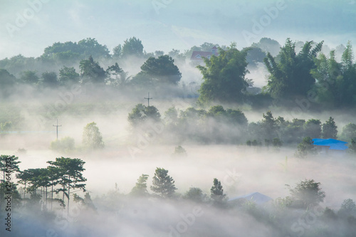 fog over forest © Soonthorn