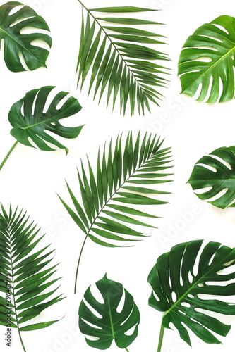 Fototapeta Naklejka Na Ścianę i Meble -  tropical green palm, monstera leaves , branches pattern isolated on a white background. top view.copy space.abstract.