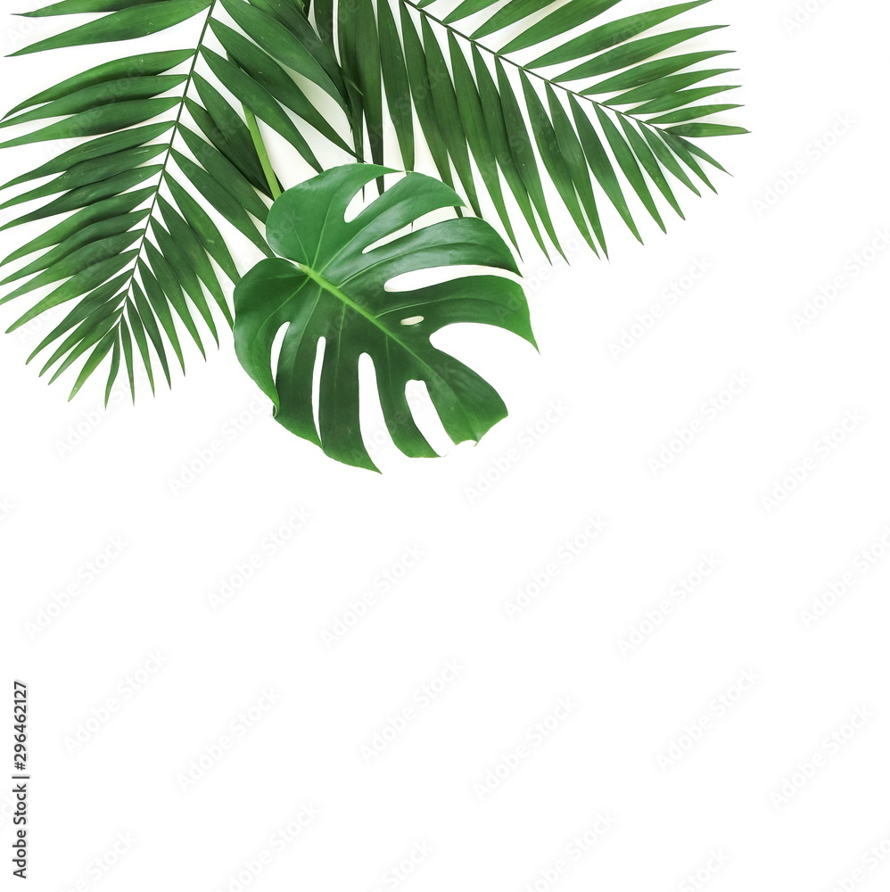 tropical green palm, monstera leaves , branches pattern isolated on a white background. top view.copy space.abstract.