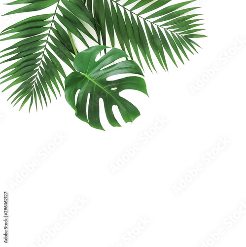 tropical green palm  monstera leaves   branches pattern isolated on a white background. top view.copy space.abstract.