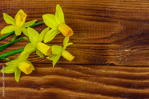 Yellow daffodil flowers on wooden background. Greeting card for Valentine's Day, Women's Day and Mother's Day. Top view, copy space