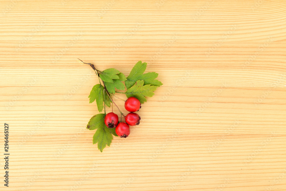 Branch of hawthorn with ripe berries on a wooden background close-up, top view Branch of hawthorn with ripe berries on a wooden background close-up, top view