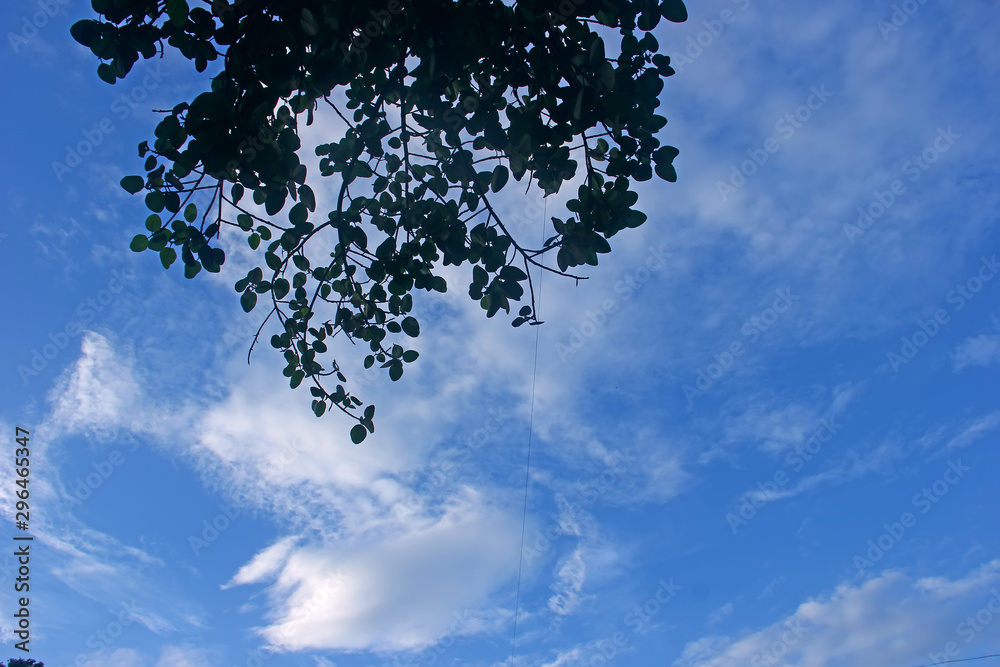 Obraz premium Blue and white sky background texture 