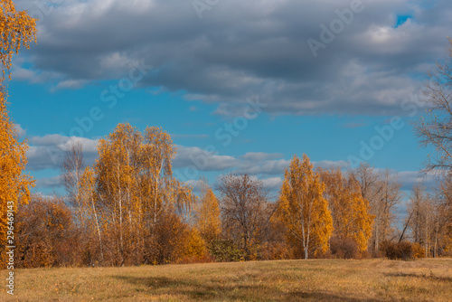 Autumn landscape. Village houses are reflected in the river lake, like gingerbread. Evening sun, sunset. Colorful trees yellow, red, purple shades. Blue sky with light clouds. Russia, Siberia, Perm