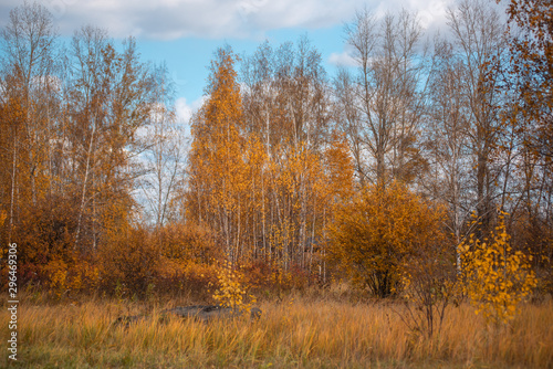 Autumn landscape. Village houses are reflected in the river lake, like gingerbread. Evening sun, sunset. Colorful trees yellow, red, purple shades. Blue sky with light clouds. Russia, Siberia, Perm