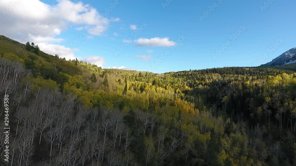Sunlight patterns, golden quaking aspens, and fluffy white clouds make for spectacular scenery in American Fork Canyon as seen from the air. Sunlight patterns, golden quaking aspens, and fluffy white clouds make for spectacular scenery in American Fork Canyon as seen from the air.
