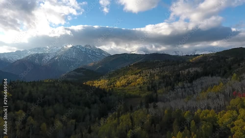 Fall colors, Golden Quaking Aspens, rugged snow capped mountains and fluffy white clouds are part of the autumn scenery in American Fork Canyon as seen by drone. Fall colors, Golden Quaking Aspens, rugged snow capped mountains and fluffy white clouds are part of the autumn scenery in American Fork Canyon as seen by drone.