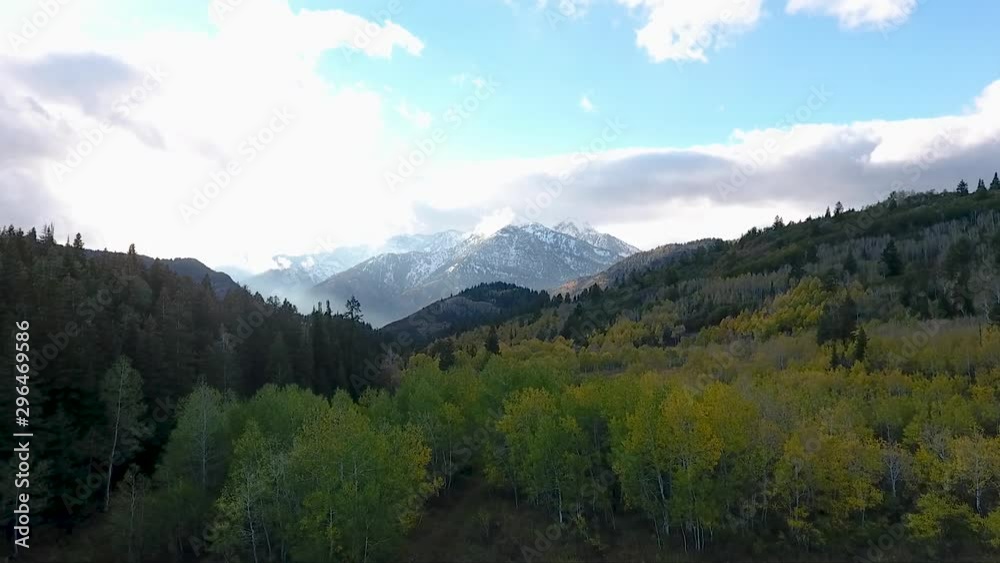 Fall colors, Golden Quaking Aspens, rugged snow capped mountains and fluffy white clouds are part of the autumn scenery in American Fork Canyon as seen by drone. Fall colors, Golden Quaking Aspens, rugged snow capped mountains and fluffy white clouds are part of the autumn scenery in American Fork Canyon as seen by drone.