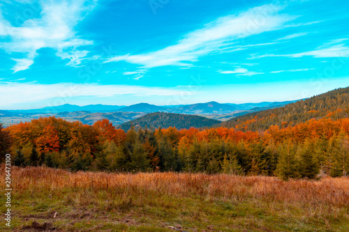 Autumn mountain landscape, yellow-red trees and blue mountains and sky in the background