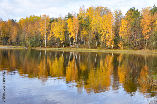 Trees with yellow leaves are reflected in the lake water