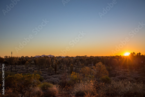 Bäume in Australien mit Sonnenuntergang
