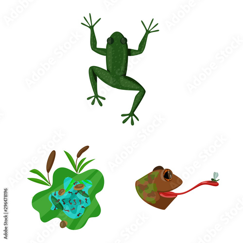 Isolated object of frog and anuran symbol. Set of frog and animal stock symbol for web.