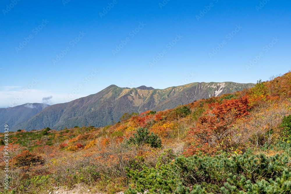 Fototapeta premium 那須岳・茶臼岳 紅葉
