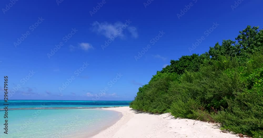 green bushes in seashore of caribbean sea, still wide shot green bushes in seashore of caribbean sea, still wide shot