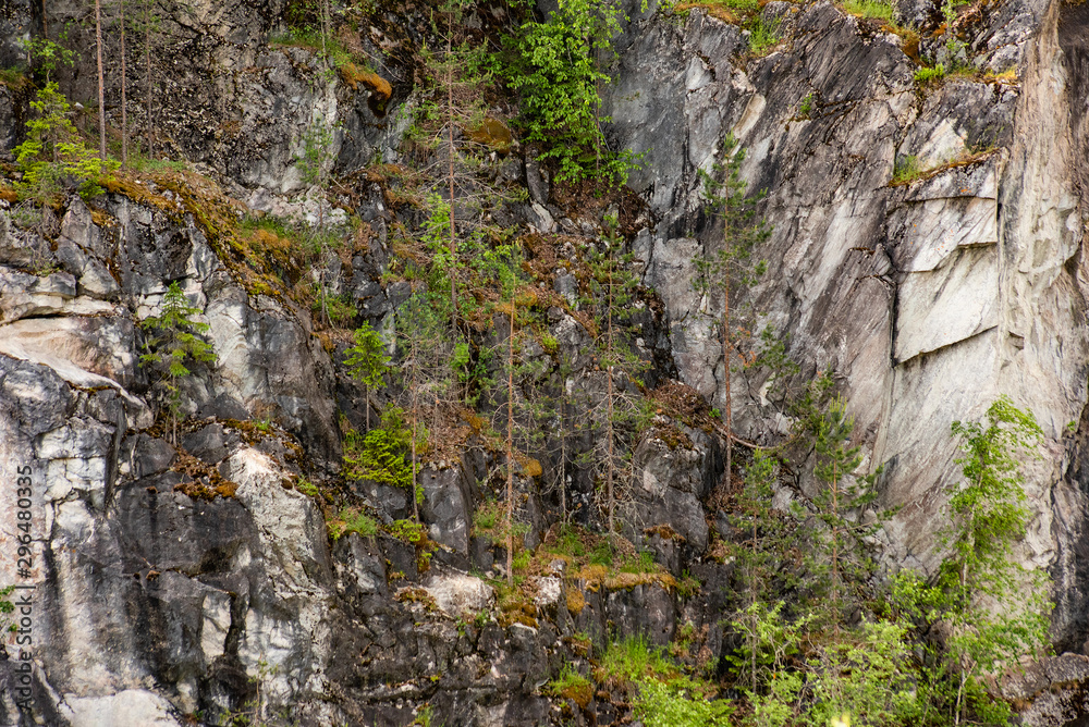 Landscape with a cliff covered with trees Landscape with a cliff covered with trees