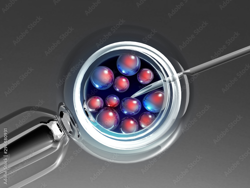 IVF. In vitro fertilization. 3d render. IVF. In vitro fertilization. 3d render.