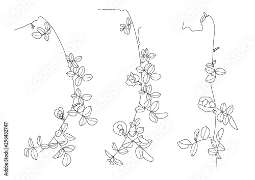 lined pattern leaves are a bouquet fresh on white background illustration vector