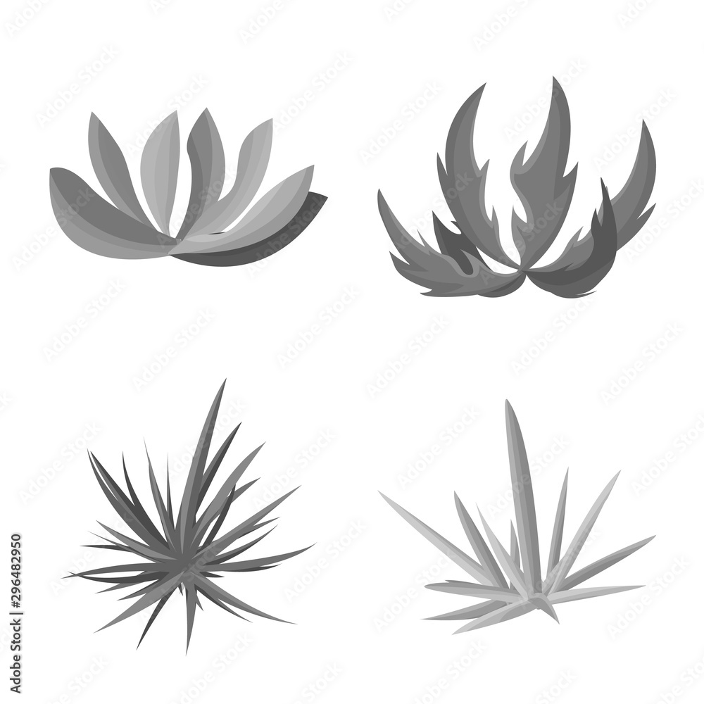 Isolated object of foliage and floral logo. Set of foliage and summer stock symbol for web.