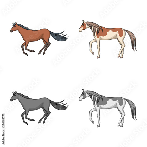 Isolated object of breed and equestrian icon. Set of breed and mare stock symbol for web.