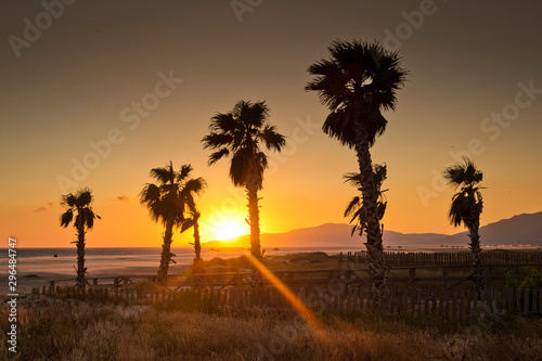 Sunset with palm trees silhouettes on the beach, Tarifa, Cadiz, Andalucia, Spain