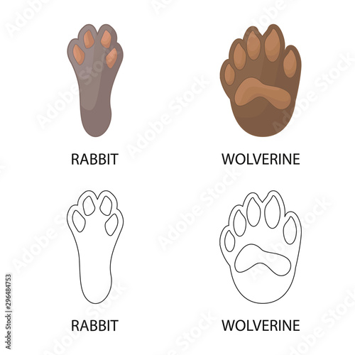 Isolated object of step and walk sign. Set of step and fauna stock vector illustration.