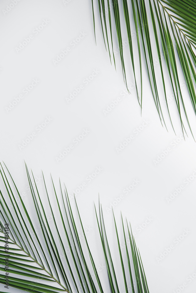 Fototapeta premium Fresh tropical leaves on light background
