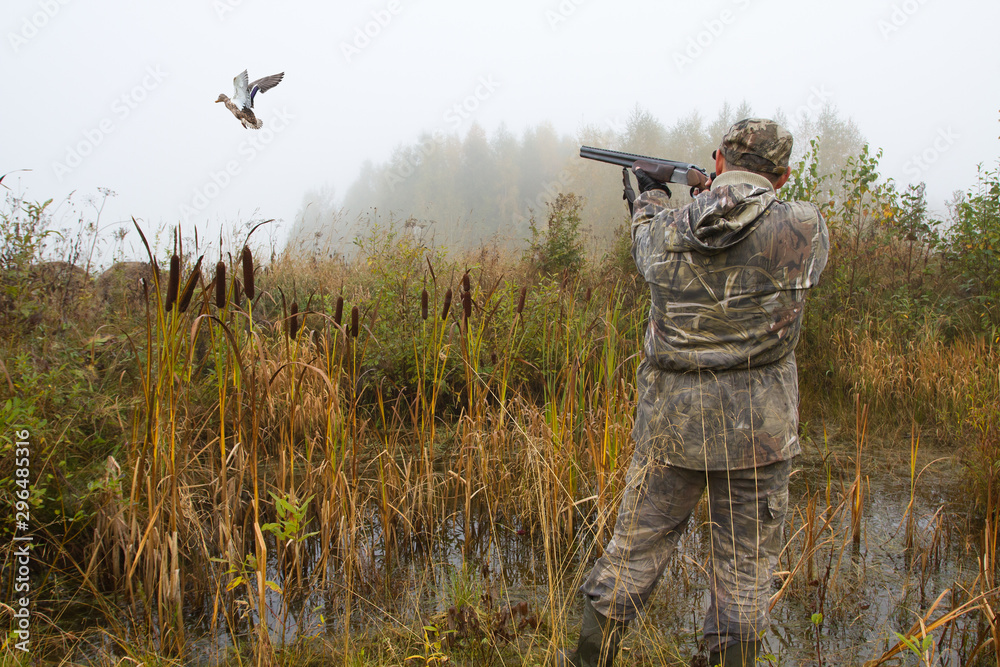 the hunter aims at a duck that has risen from a thicket of reeds the hunter aims at a duck that has risen from a thicket of reeds