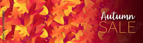 Fall season banner or header background with red and orange leaves.  Autumn sale typography text for advetising, shopping promotion. Vector illustration.