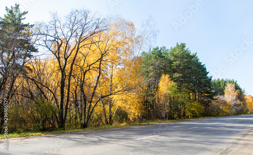 Road to the autumn forest  autumn nature landscape.