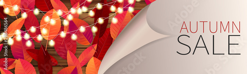 Autumn sale banner or long header. Fall concept background with red and orange leaves, glowing lights garland and peeling off wrapping paper.