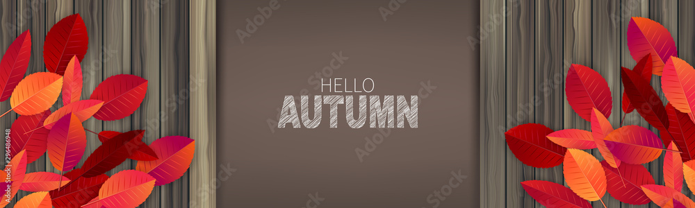 Obraz premium Hello autumn banner or header concept. Red and orange leaves on wooden board. Vector illustration.