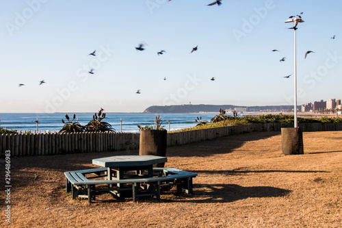 Picnic Bench on Grassy Area at Durban Beach