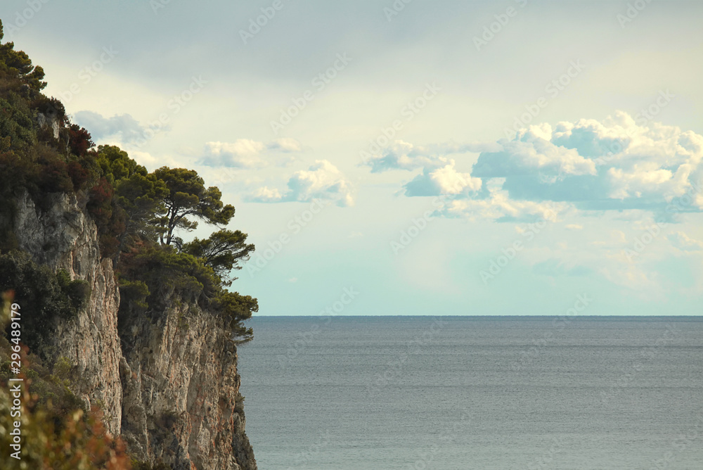Cliff with trees and stones. Sea space and clouds.