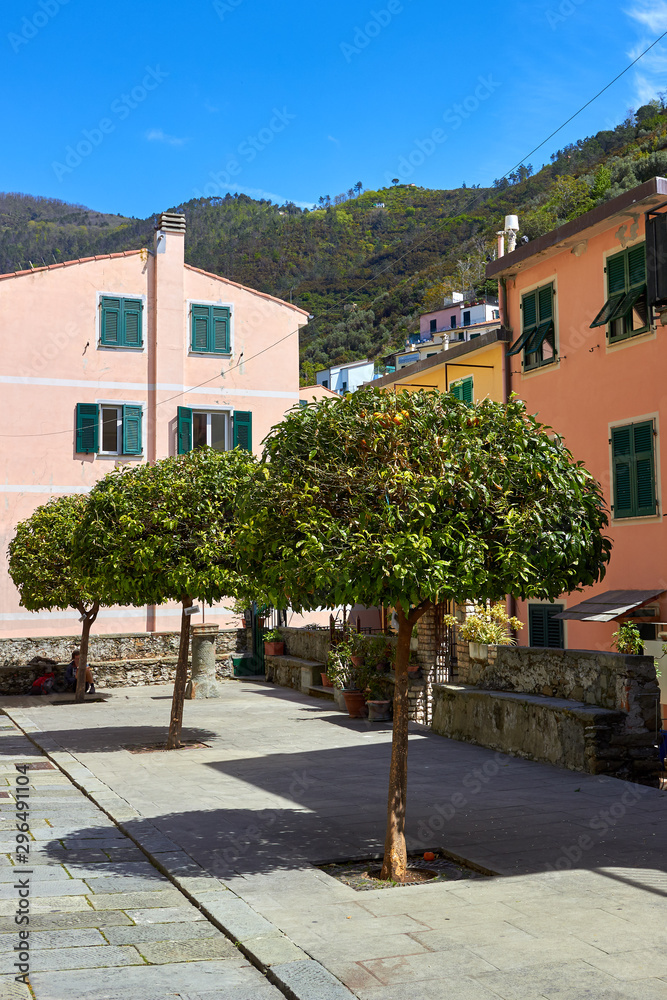 Old traditional Italian house with wooden windows green shutters, flowerpots with flowers and a tangerine tree near the gate, in Riomaggiore village, Cinque Terre, Liguria, Italy