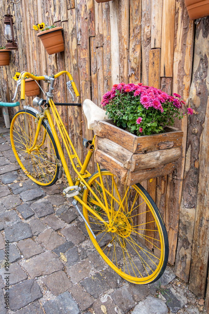 Yellow bike with a basket of flowers near old rustic wooden wall. Vintage bicycle with wooden box of purple flowers.