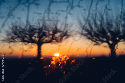 Un coucher de soleil avec des silhouettes d'arbre et des gouttes d'eau. Un lever des soleil et des silhouettes d'arbre sur un parebrise froid. photo
