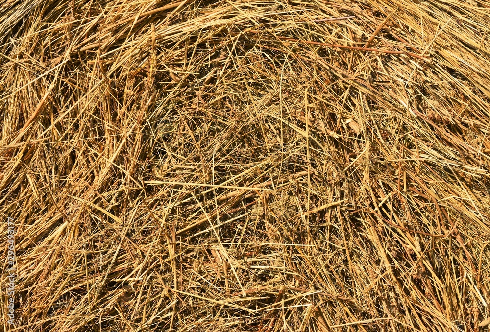 many straw hay
