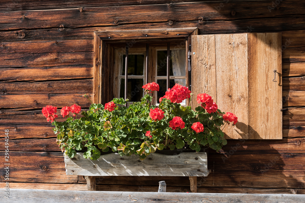 Fototapeta premium Hut and window with red flowers