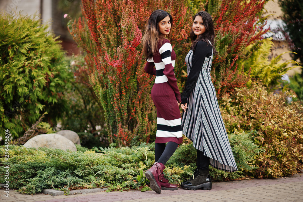 Portrait of two young beautiful indian or south asian teenage girls in dress posed near bushes.