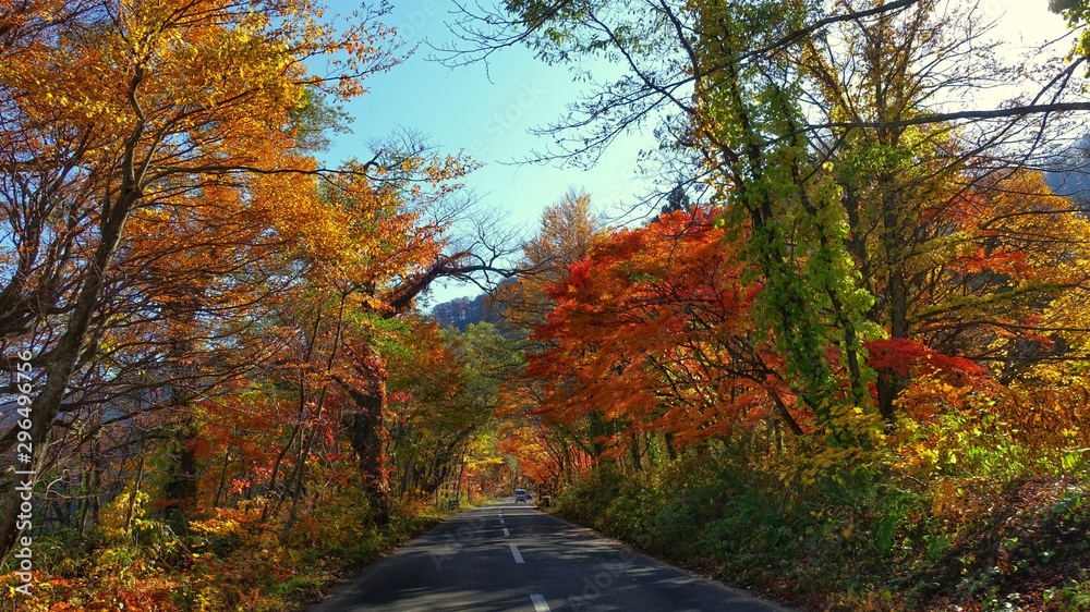 紅葉する十和田湖への道