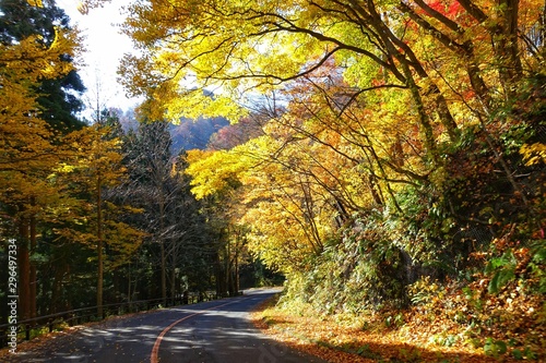 紅葉する十和田湖への道