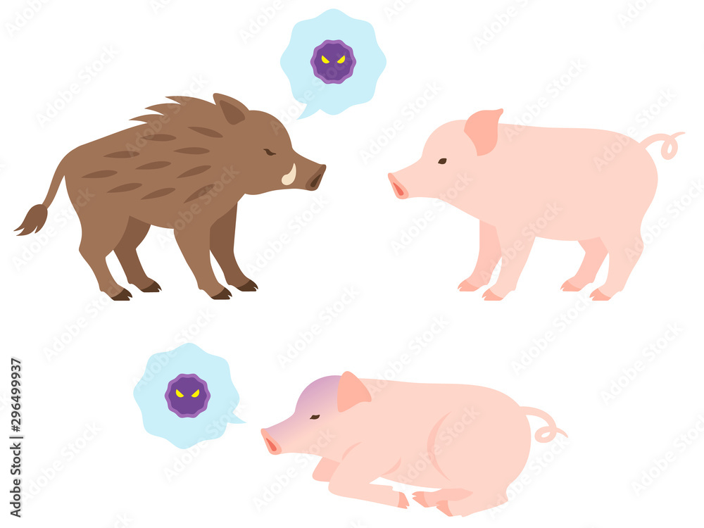 病気の豚 イノシシから豚へのウイルス感染のイメージイラスト Stock Vector Adobe Stock