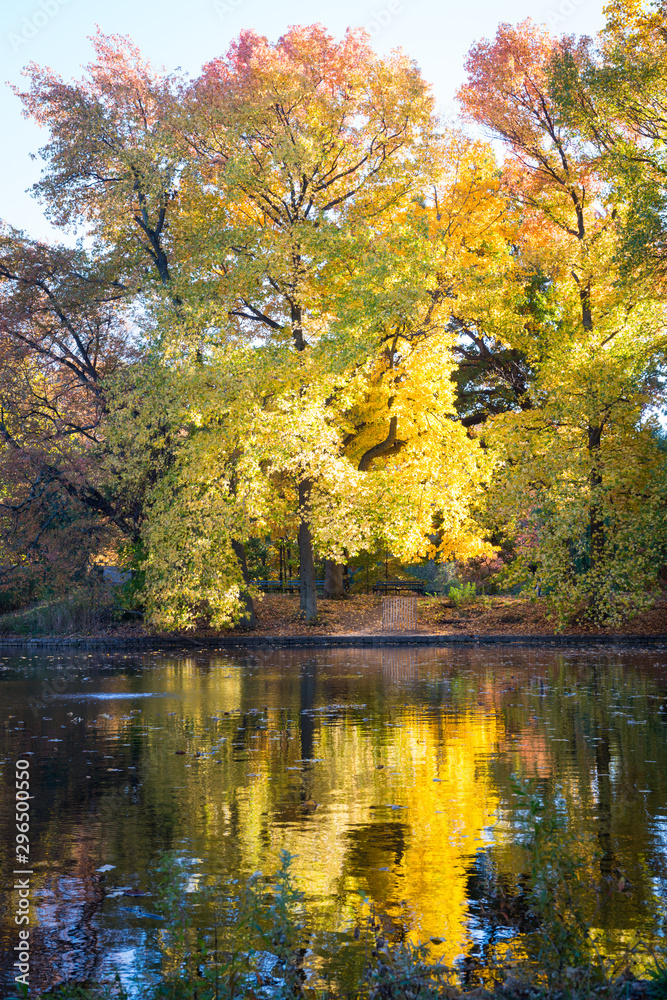 Fototapeta premium landscape