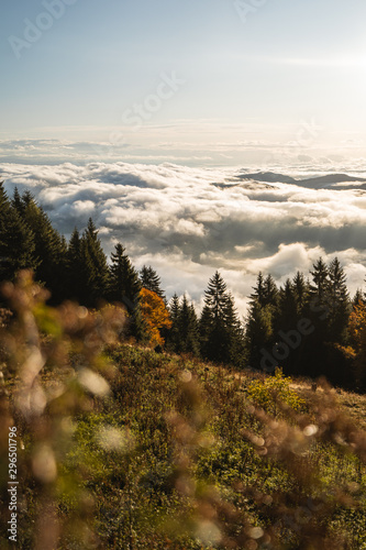 Hochnebel in Kärnten